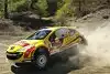 Bild zum Inhalt: Neuville gewinnt Golden-Stage-Rallye