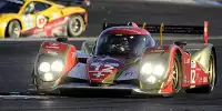 Neel Jani