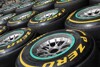 Bild zum Inhalt: Interlagos aus der Perspektive der Pirelli-Reifen