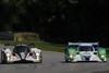 Bild zum Inhalt: Le Mans ohne die ALMS-Speerspitzen?