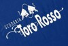 Bild zum Inhalt: Toro Rosso verstärkt Technikerteam