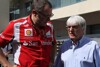 Bild zum Inhalt: Domenicali will "neue" Teams in Formel 1 halten