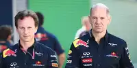 Bild zum Inhalt: Silverstone Halbmarathon mit Horner und Newey