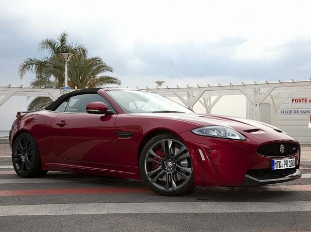 Jaguar Jaguar