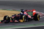 Daniel Ricciardo (Toro Rosso)