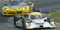 Bild zum Inhalt: Sebring: Steven Kane komplettiert Dyson-Trio