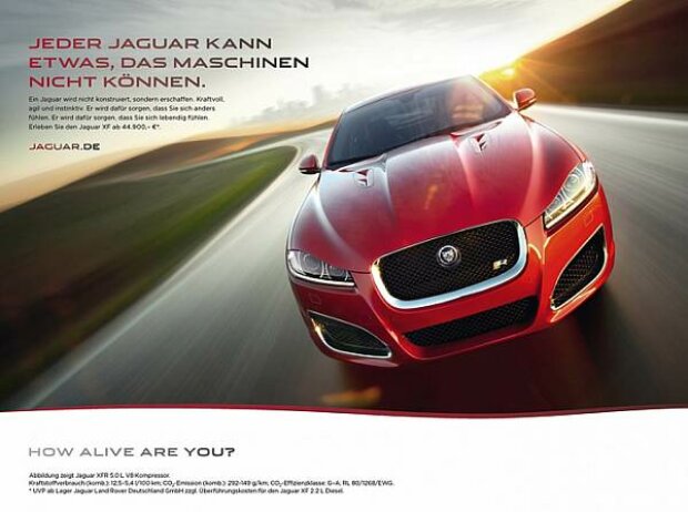 Jaguar Jaguar