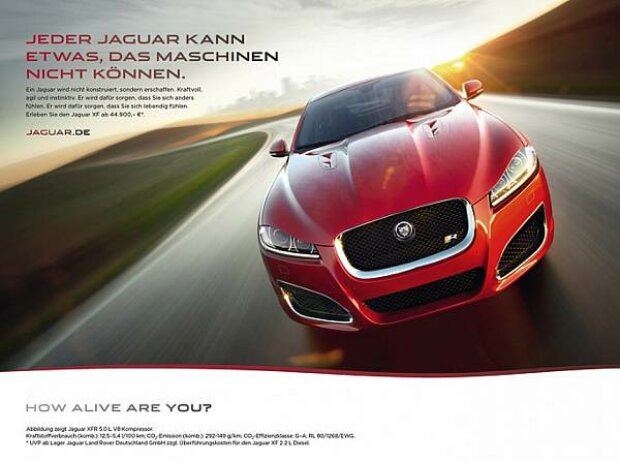 Titel-Bild zur News: Jaguar