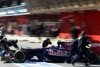Bild zum Inhalt: Toro Rosso: Vergne schneller als Vettel