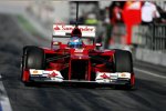 Fernando Alonso (Ferrari) 