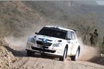 Sebastien Ogier (VW) 