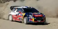 Bild zum Inhalt: SS15-16: Souveräne Citroen-Doppelführung