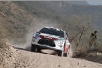 Nasser Al-Attiyah (Qatar WRT) 