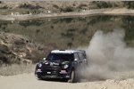 Armindo Araujo (MINI Portugal) 