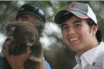 Sergio Perez (Sauber) im Zoo von Melbourne