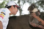 Kamui Kobayashi (Sauber) im Zoo von Melbourne