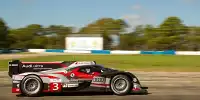 Loic Duval, Romain Dumas, Timo Bernhard
