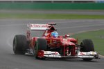 Fernando Alonso (Ferrari) 