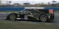 Luca Moro, Thomas Holzer