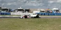 Simon Pagenaud, Klaus Graf, Lucas Luhr