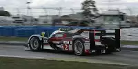 Allan McNish, Tom Kristensen, Rinaldo Capello
