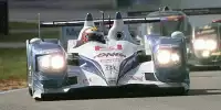 Jonny Kane, Danny Watts, Nick Leventis