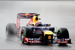 Mark Webber (Red Bull) 