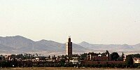 Bild zum Inhalt: WTCC in Marrakesch: Die Vorschau