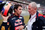 Daniel Ricciardo (Toro Rosso) und Helmut Marko (Motorsportchef) 