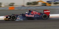 Bild zum Inhalt: Toro Rosso jubelt über starken Ricciardo