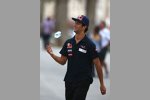 Daniel Ricciardo (Toro Rosso) 