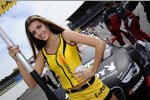 Gridgirl von Edoardo Mortara (Rosberg-Audi) 