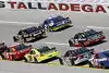 Bild zum Inhalt: Talladega-Freitag: Das "Pack is Back"