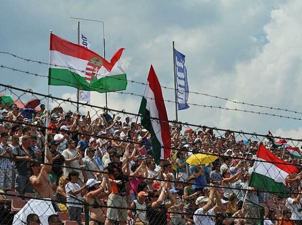 Titel-Bild zur News: Zuschauer am Hungaroring