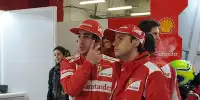 Bild zum Inhalt: Alonso: "Massa ist einer der besten Fahrer der Welt"