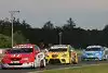 Bild zum Inhalt: WTCC in Portimao: Die Starterliste