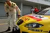 Bild zum Inhalt: WTCC in Portimao: Die Autogewichte