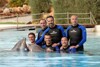 Bild zum Inhalt: Badetag in Portugal: WTCC-Fahrer treffen auf Delfine