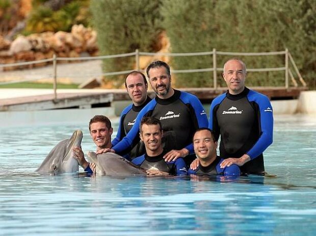 Titel-Bild zur News: WTCC-Piloten mit Delfinen