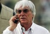 Mehrere Festnahmen bei Ecclestone-Veranstaltung