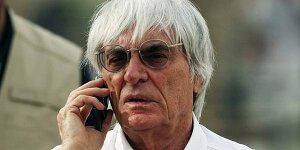 Mehrere Festnahmen bei Ecclestone-Veranstaltung