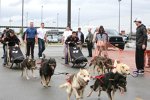 Denny Hamlin (Gibbs) bei einem Promo-Termin in Alaska