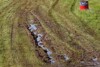 Vom Regen in die Traufe: Silverstone atmet auf
