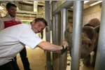 Mike Rockenfeller und Filipe Albuquerque im Magdeburger Zoo