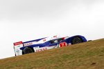 Alexander Wurz / Nicolas Lapierre (Toyota) 