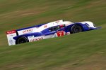 Alexander Wurz / Nicolas Lapierre (Toyota) 