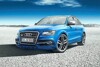 Bild zum Inhalt: Paris 2012: Audi zeigt SQ5 TDI Exclusive Concept