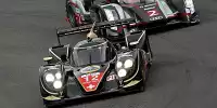 Allan McNish, Tom Kristensen, Neel Jani, Nicolas Prost
