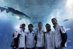 Joey Hand, Augusto Farfus, Dirk Werner, Andy Priaulx und Martin Tomczyk im Oceanografic in Valencia