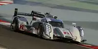 Allan McNish, Tom Kristensen